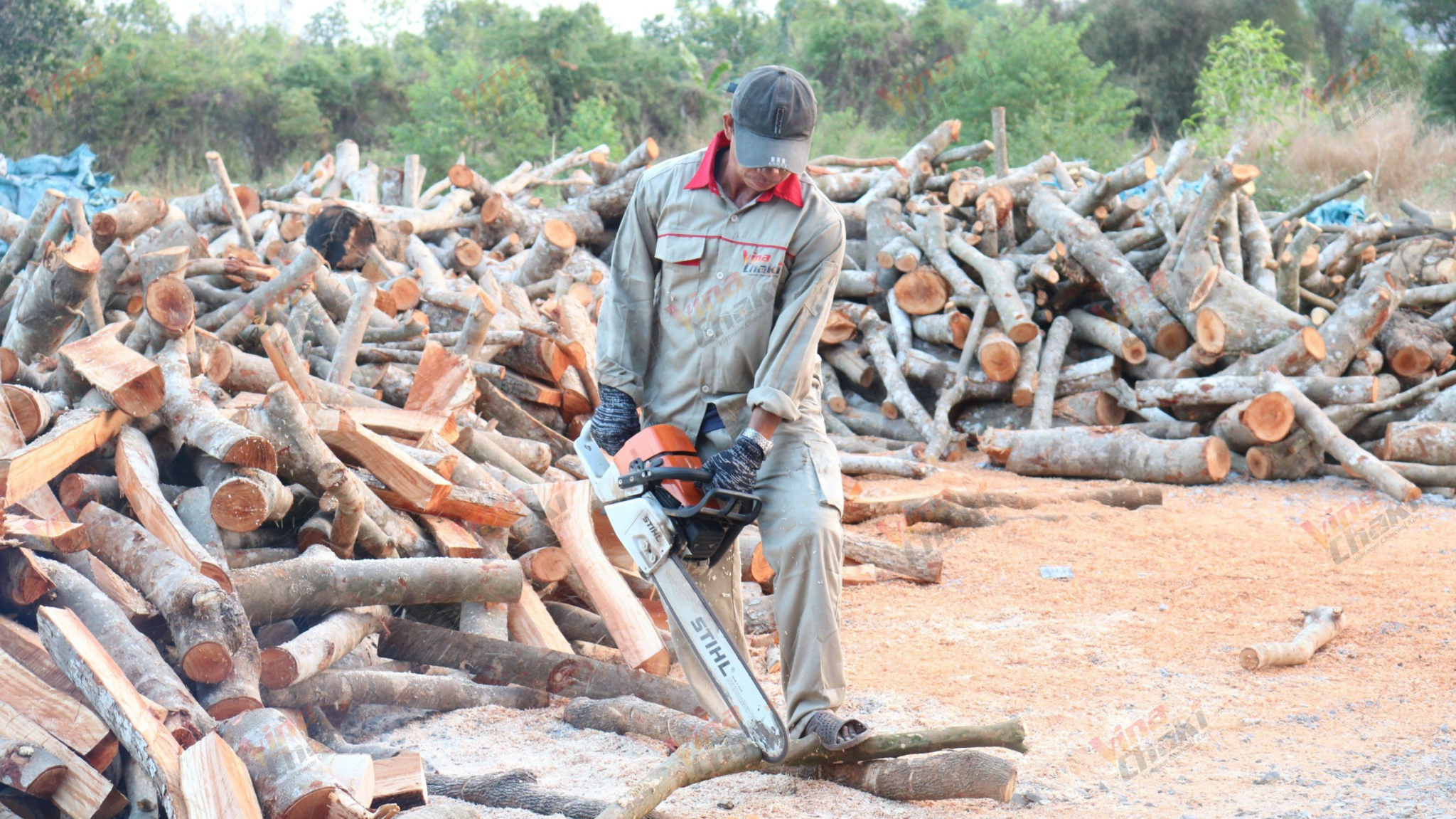 Vietnam’s Charcoal Export Market