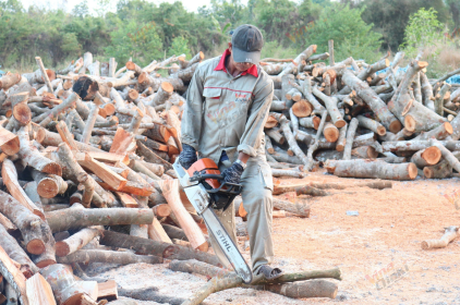 HOW TO MAKE SAWDUST CHARCOAL
