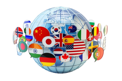 Top 5 Wood Charcoal Importers 2024