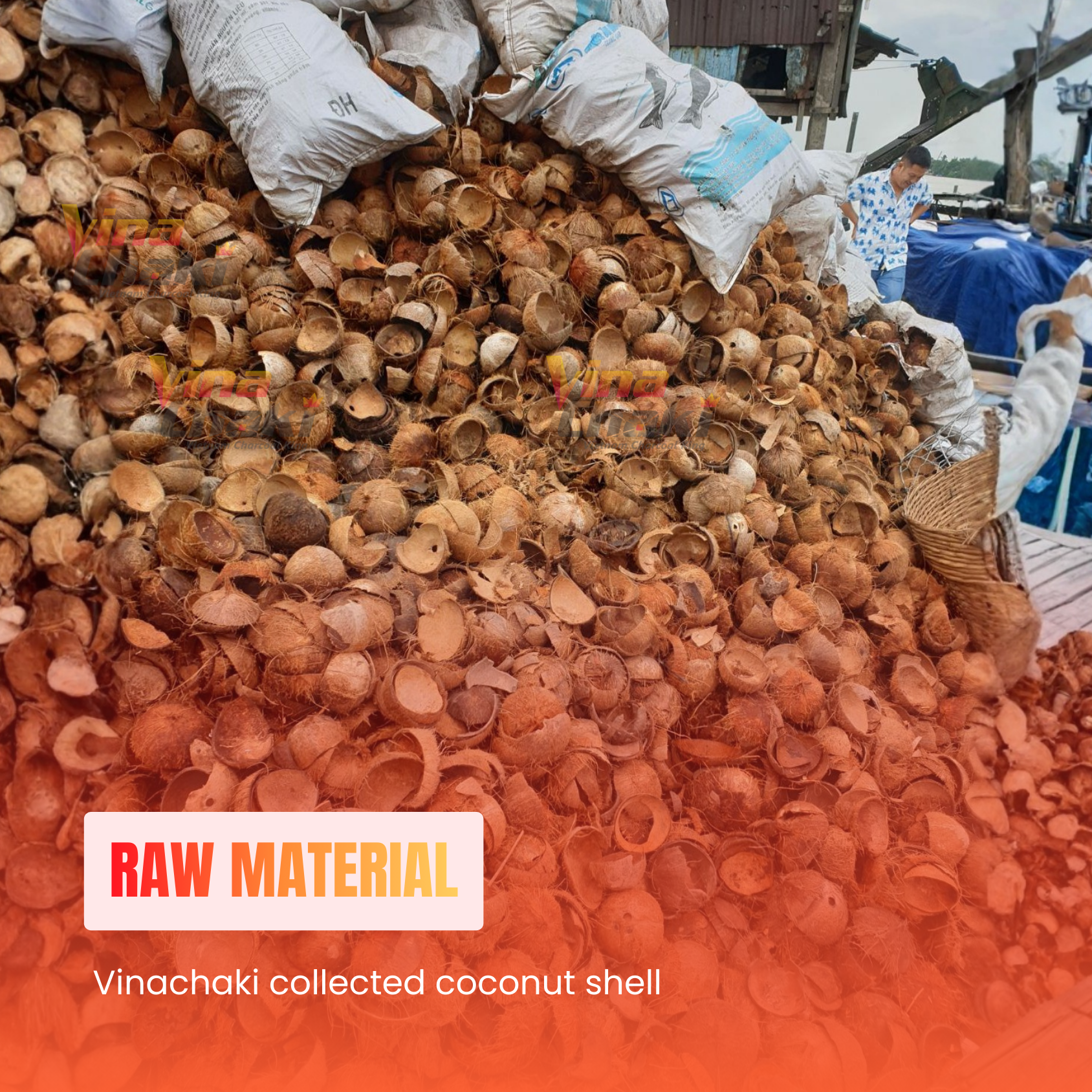 Raw material for Coconut Shell Charcoal process