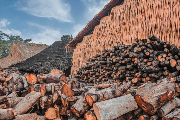 The Biomass DNA and Deep Culinary Profiling